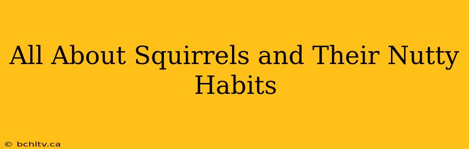 All About Squirrels and Their Nutty Habits