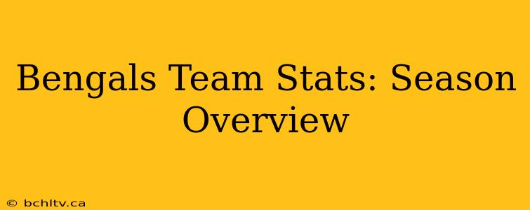 Bengals Team Stats: Season Overview