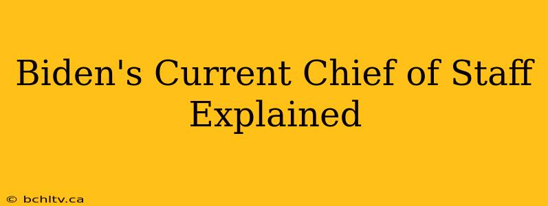 Biden's Current Chief of Staff Explained