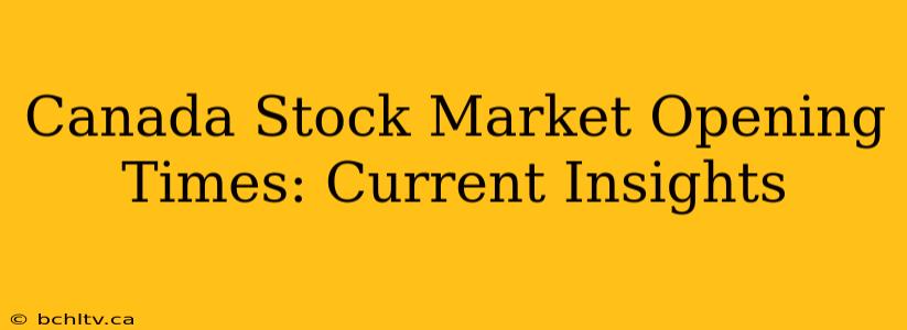 Canada Stock Market Opening Times: Current Insights