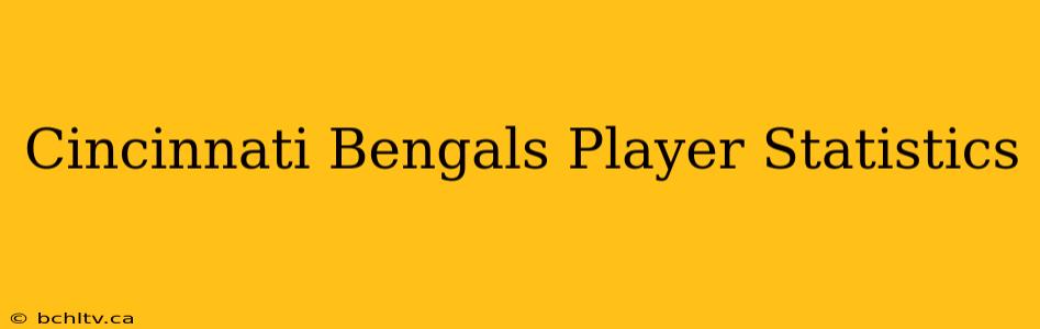 Cincinnati Bengals Player Statistics