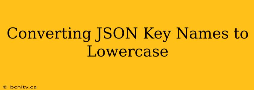 Converting JSON Key Names to Lowercase