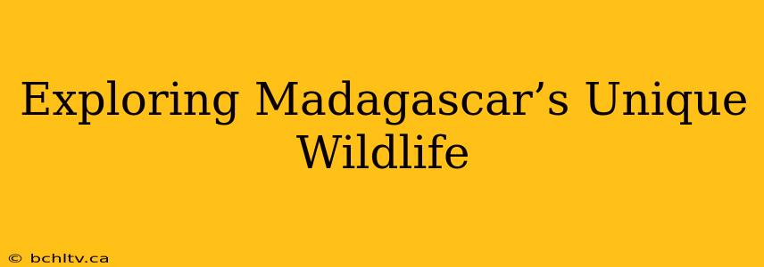 Exploring Madagascar’s Unique Wildlife
