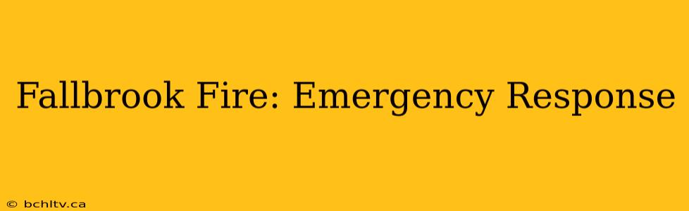 Fallbrook Fire: Emergency Response
