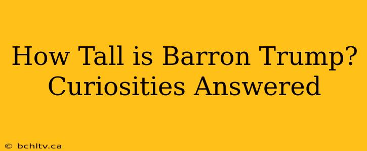 How Tall is Barron Trump? Curiosities Answered