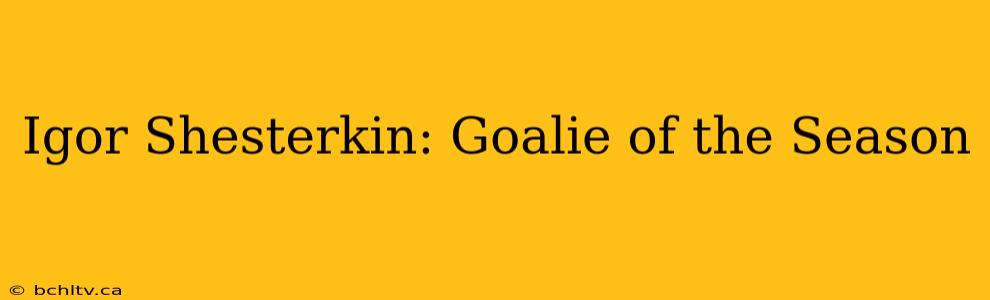 Igor Shesterkin: Goalie of the Season