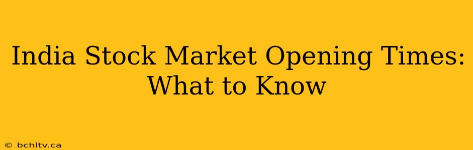 India Stock Market Opening Times: What to Know
