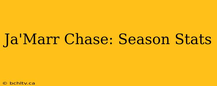 Ja'Marr Chase: Season Stats