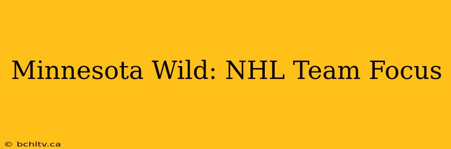 Minnesota Wild: NHL Team Focus