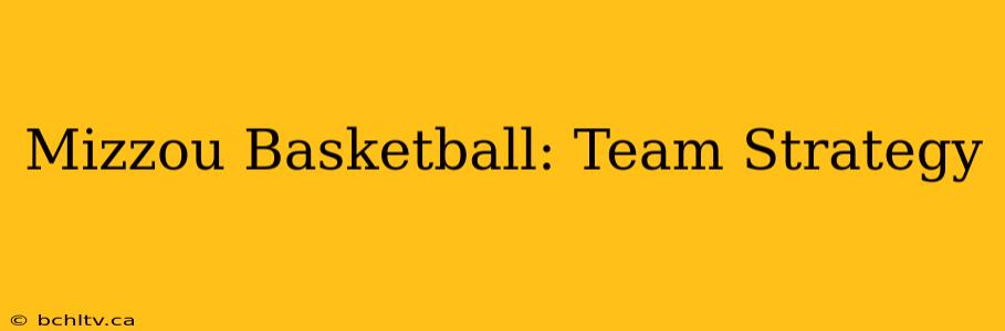 Mizzou Basketball: Team Strategy