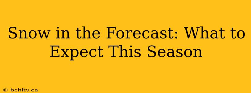 Snow in the Forecast: What to Expect This Season