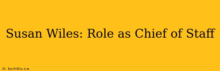 Susan Wiles: Role as Chief of Staff