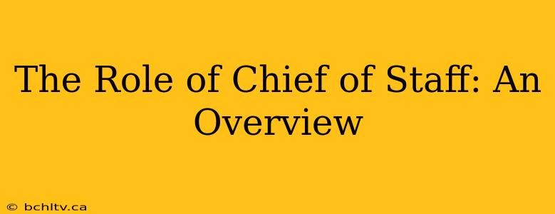 The Role of Chief of Staff: An Overview
