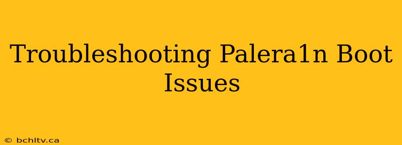 Troubleshooting Palera1n Boot Issues