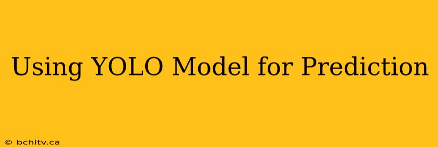 Using YOLO Model for Prediction
