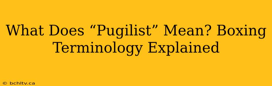What Does “Pugilist” Mean? Boxing Terminology Explained