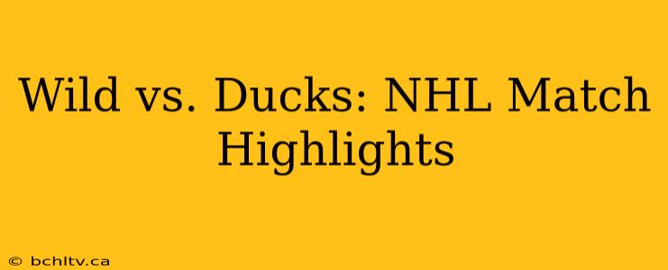 Wild vs. Ducks: NHL Match Highlights