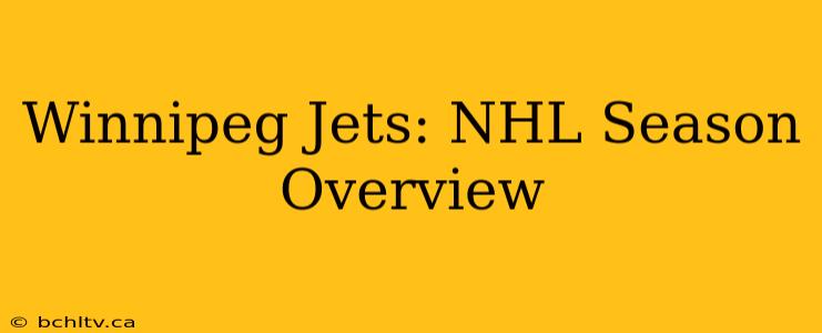 Winnipeg Jets: NHL Season Overview