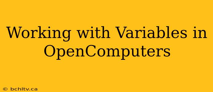 Working with Variables in OpenComputers
