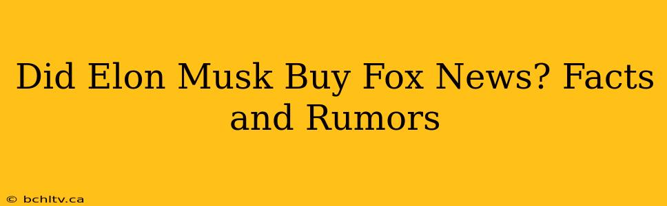 Did Elon Musk Buy Fox News? Facts and Rumors