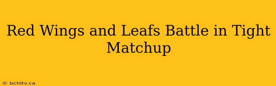 Red Wings and Leafs Battle in Tight Matchup